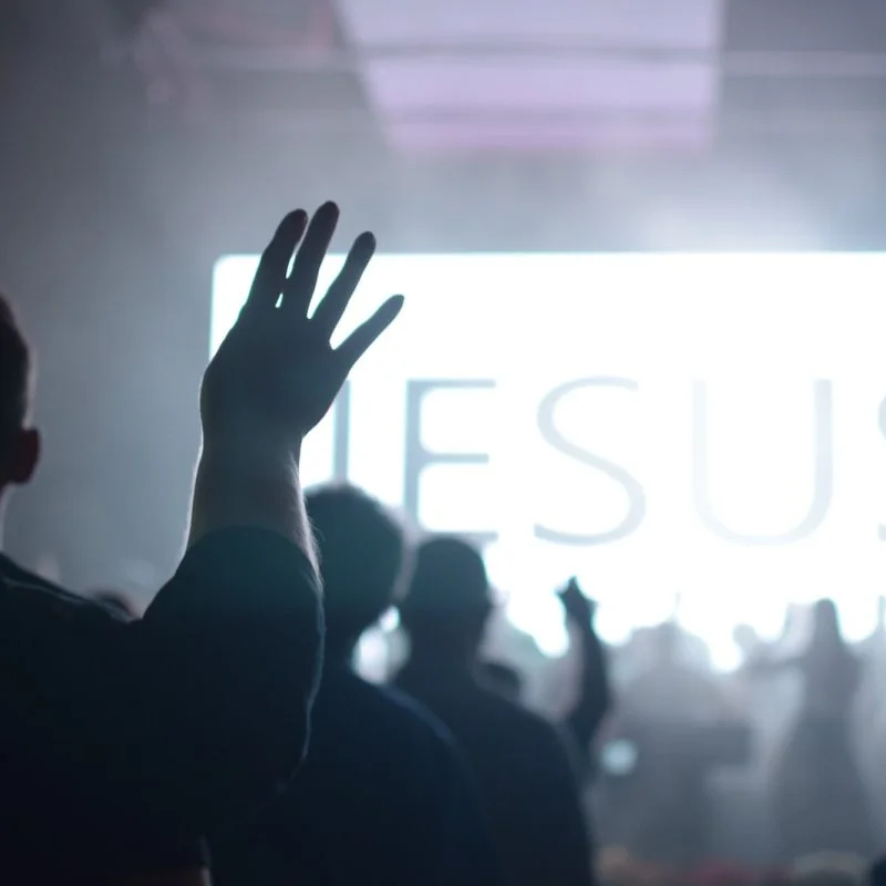 silhouette of people raising hands