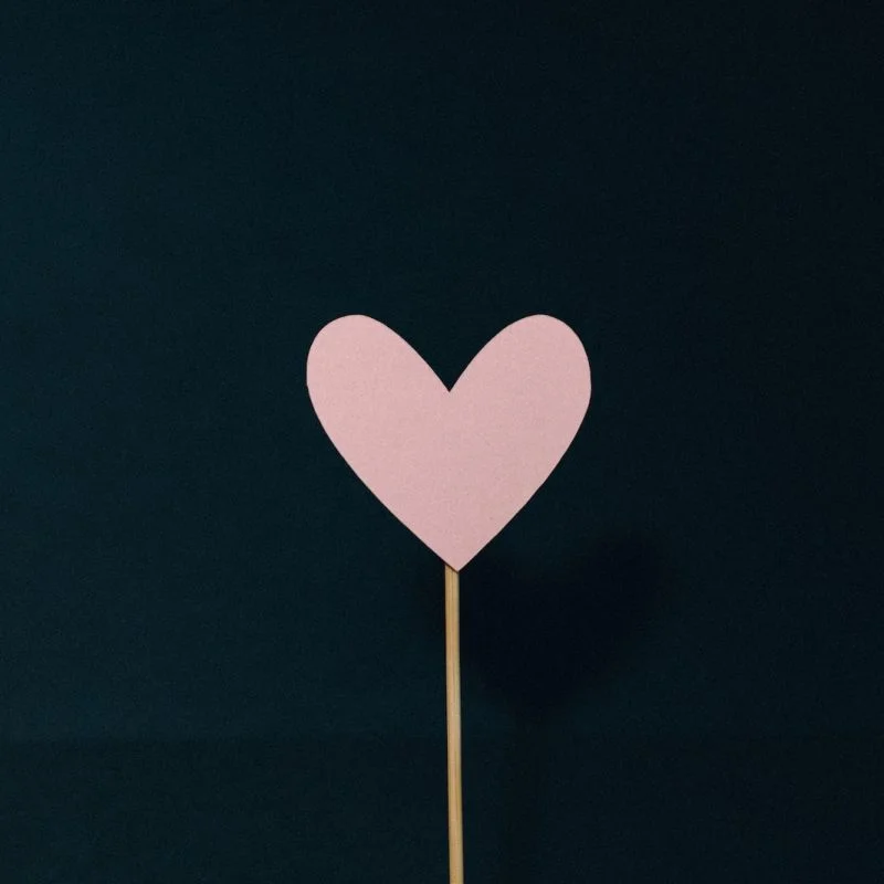 heart shaped pink and white hearts illustration
