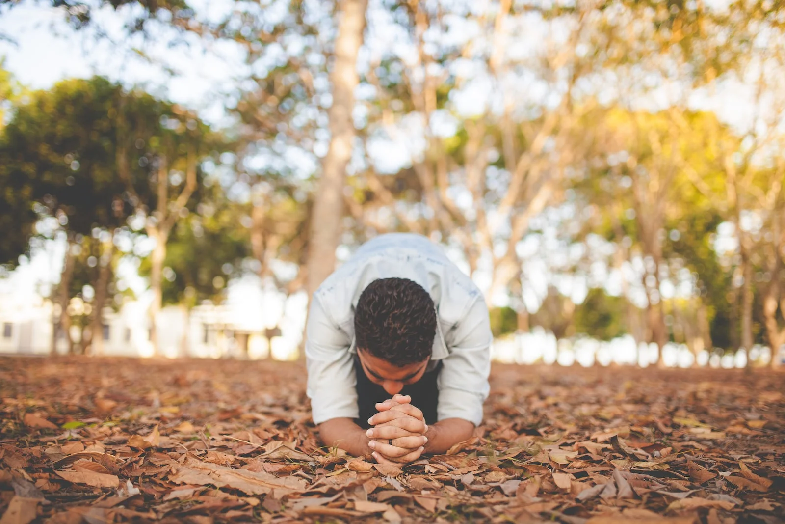 To Pray Like Jesus