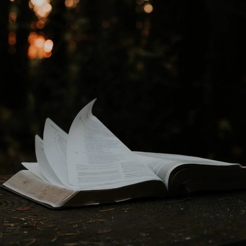 open book photograph