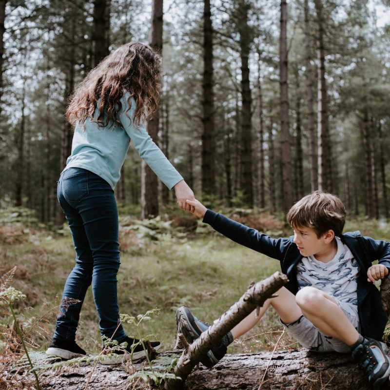 boy and girl playing on three tree log