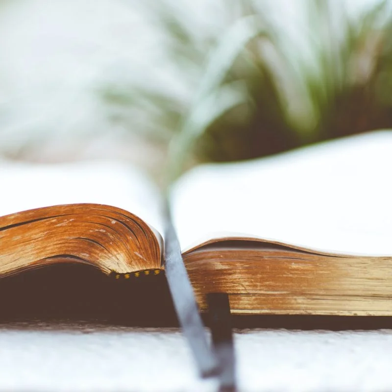 open book on white surface