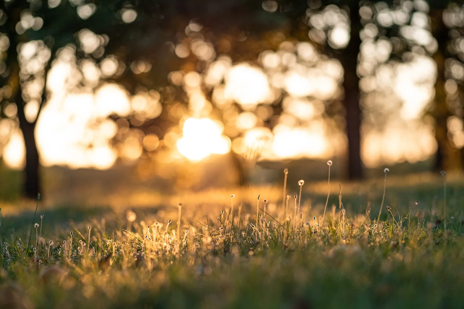 The Antidote to Busy-ness
