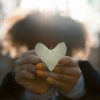 person holding gray leaf