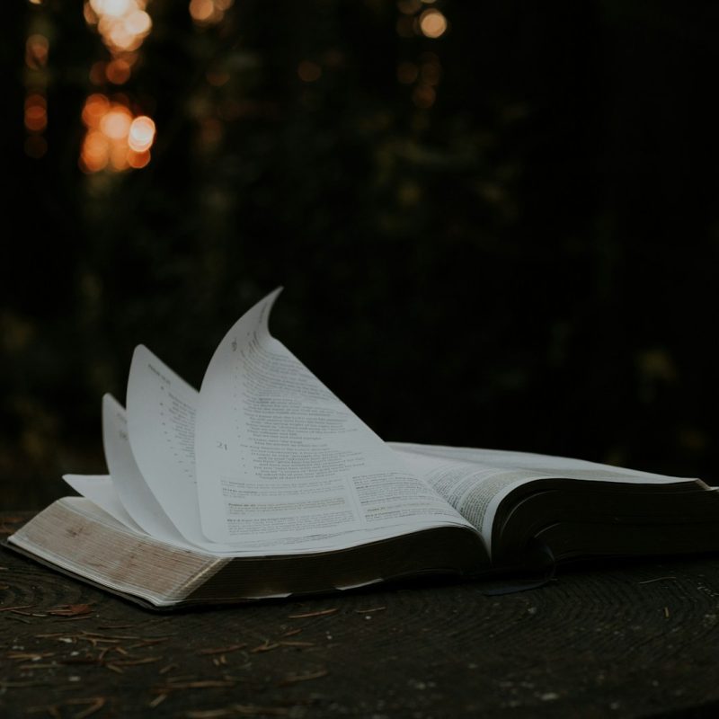 open book photograph