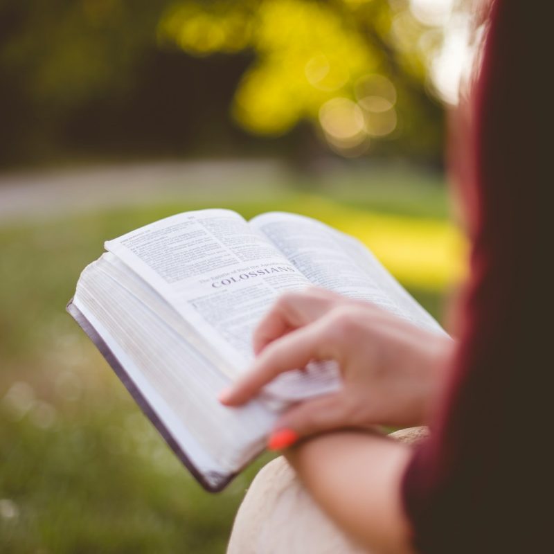 selective focus photography of person reading book